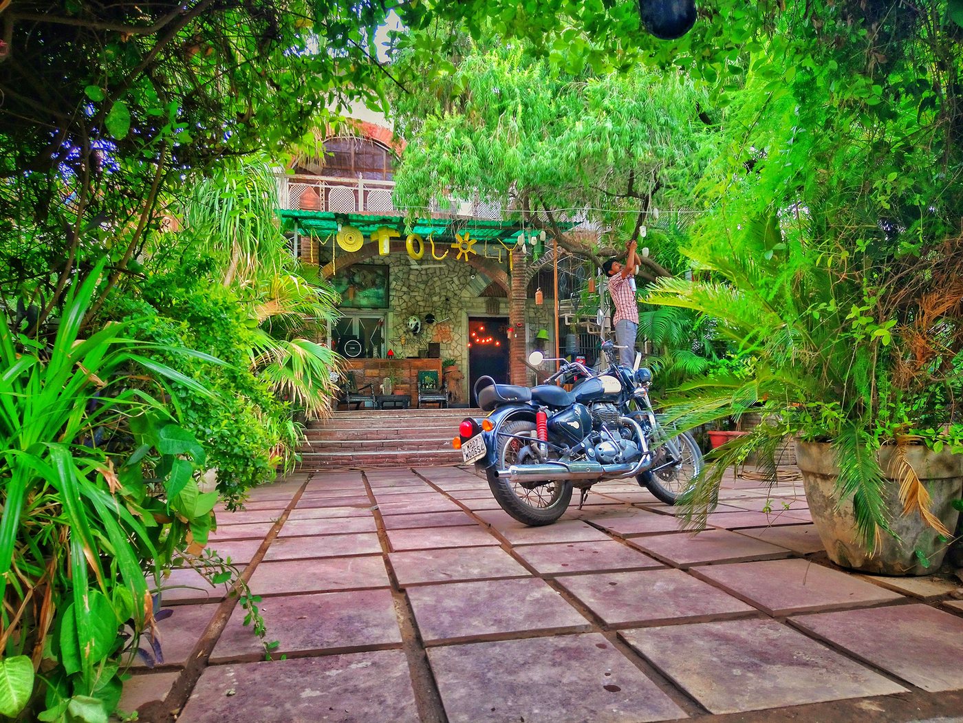 The Motology garden area with a motorcycle parked inside